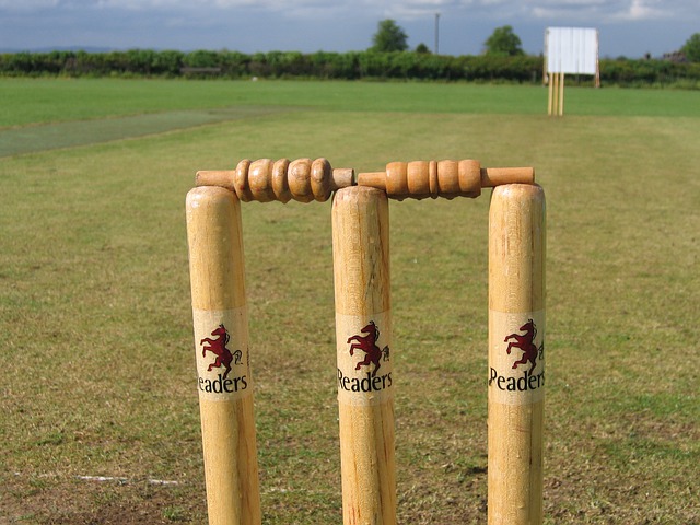 The Cricket Season will soon be here