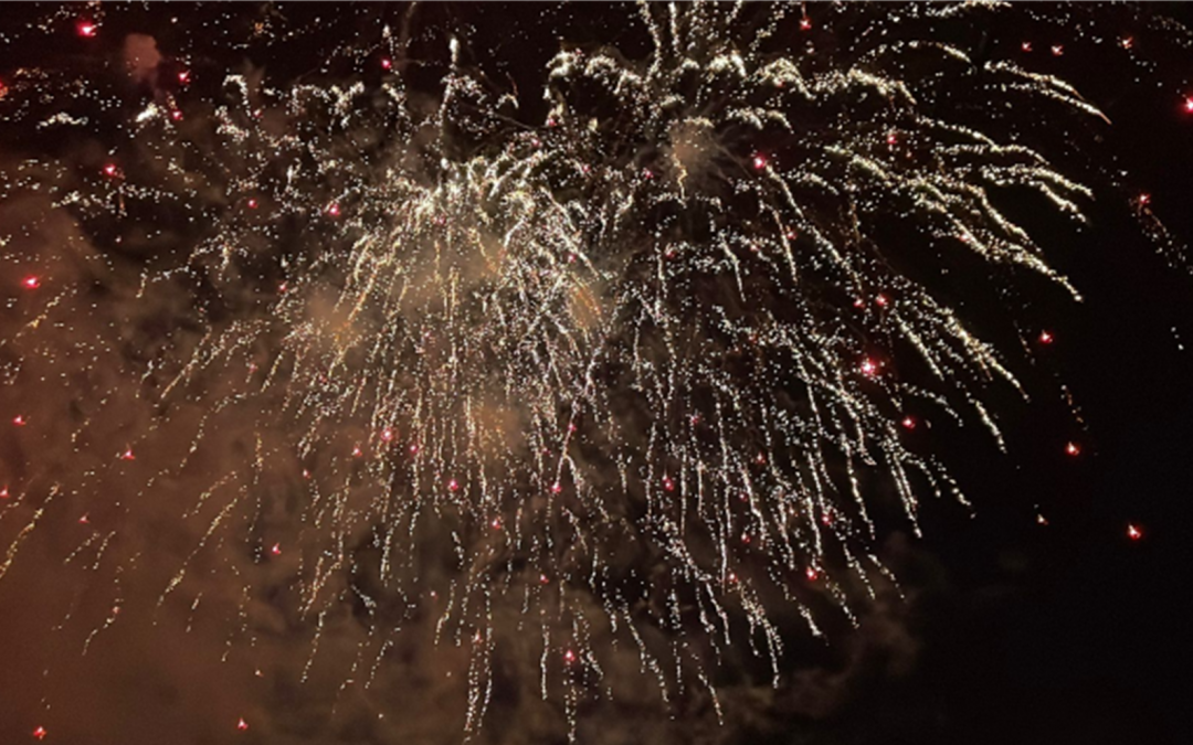 Wisborough Green School PTA